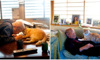 Sick And Grumpy, The Grandpa's Life Changed After He Received A Cat From His Niece