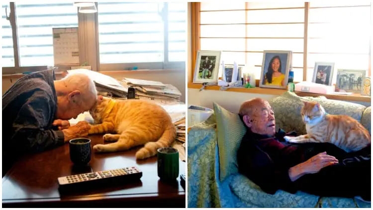 Sick And Grumpy, The Grandpa's Life Changed After He Received A Cat From His Niece
