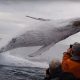 Spectacular Moment Captures Humpback Whale Surprising Boat Cruise with a Leap