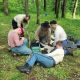 Stray Kittens Found In the Woods By Historical Reenactors