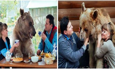 The Couple's Heartwarming 23-Year Journey with Their Adopted Bear Friend