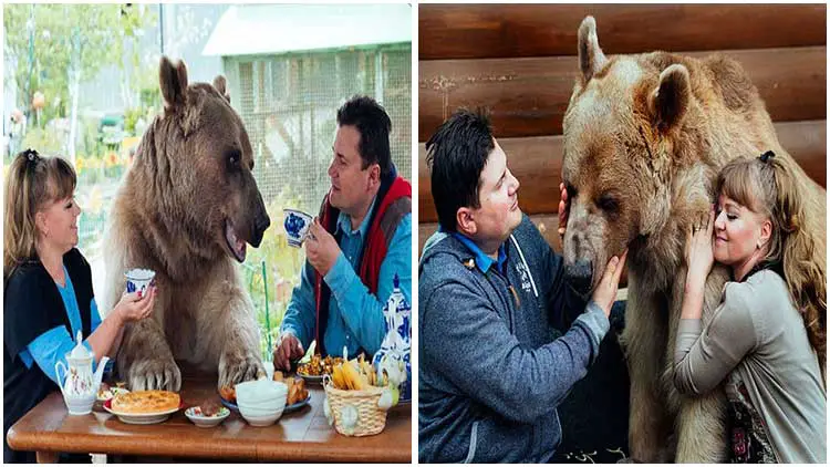 The Couple's Heartwarming 23-Year Journey with Their Adopted Bear Friend