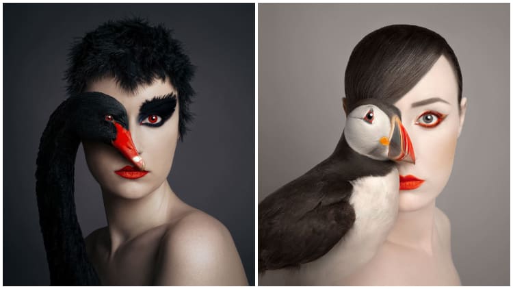The Quirky And Intriguing Collection Of Animals And The Artist Share A Single Eye