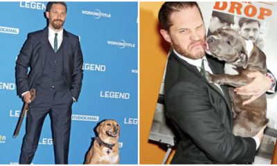 Tom Hardy Showcases His Rescue Dog At A Film Premiere To Promote Animal Adoption