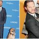 Tom Hardy Showcases His Rescue Dog At A Film Premiere To Promote Animal Adoption