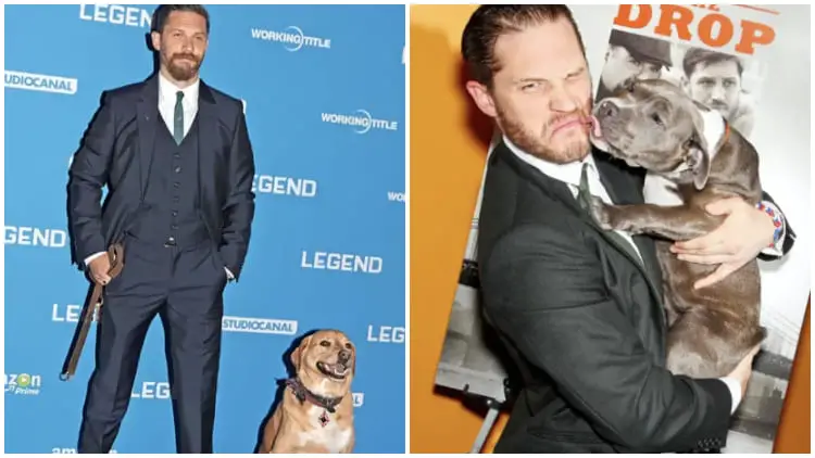 Tom Hardy Showcases His Rescue Dog At A Film Premiere To Promote Animal Adoption