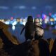 Two Penguins Hold Hands and Gaze at Melbourne's Beautiful Skyline, Making Lovely Moments