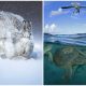 Wildlife Photography Awards Showcase 25 Images of Nature's Wonders