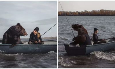 Woman and Her Rescued Huge Bear Enjoy Fishing Together