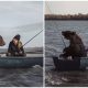 Woman and Her Rescued Huge Bear Enjoy Fishing Together