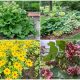 12 Beautiful Vegetables for an Edible Landscape