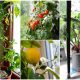 19 Edible Plants That Grow Well Indoors