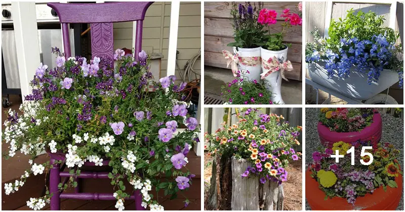 20 Creative Ways to Grow Your Favorite Flowers
