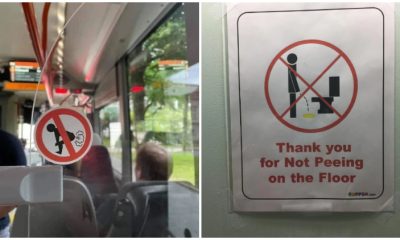 20 Entertaining Signs That'll Make Your Commute Hilariously Memorable