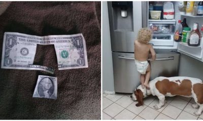 20 Hilarious Pics of Playful Children Whose Parents Don't Know Whether to Laugh or Cry