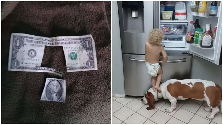 20 Hilarious Pics of Playful Children Whose Parents Don't Know Whether to Laugh or Cry