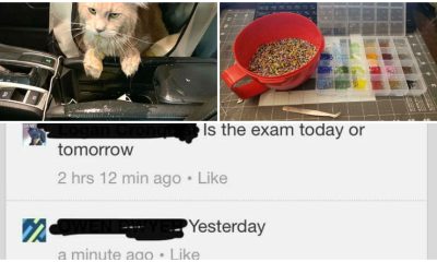 20+ Photos That People Want to Share The Worst Days They Had