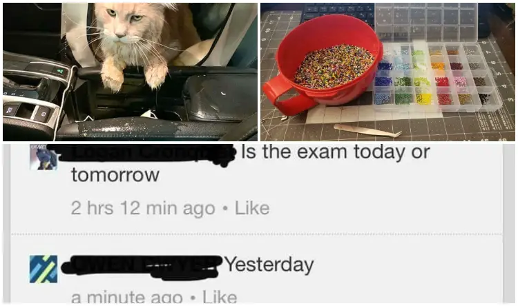 20+ Photos That People Want to Share The Worst Days They Had
