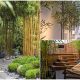 20 Spectacular Landscaping Ideas with Bamboo