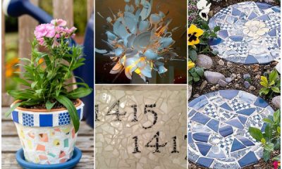 22 Clever Recycling Ideas That Bring Broken Plates to Treasure