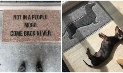 22 Funny Doormats To Put A Smile On Your Face