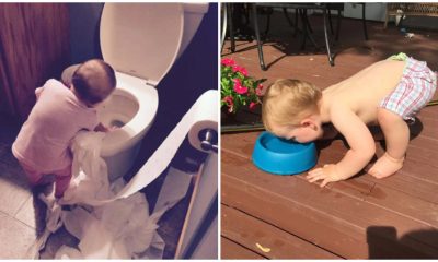 22 "Perfect" Photos That Describe Life with Toddlers, Full of Fun