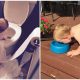 22 "Perfect" Photos That Describe Life with Toddlers, Full of Fun