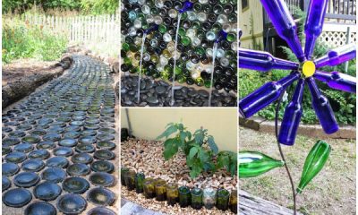 23 Easy and Cheap Wine Bottle Ideas For Your Garden