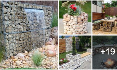 24 Fabulous DIY Gabion Garden Ideas