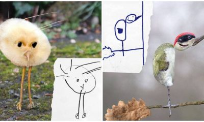 25 Hilarious Pics Photoshopped by a Brilliant Dad Give His Kids' Animal Drawings a More Lively