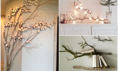 27 Clever Branch Ideas to Bring Nature to Your Home