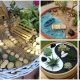 29 Stunning Succulent Displays As Tabletop Centerpieces