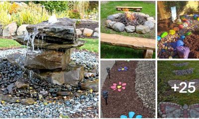 30 Adorable Summer Rock Garden Projects