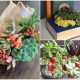 30 Brilliant Succulent Planter Ideas