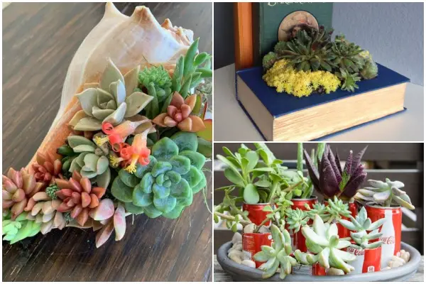 30 Brilliant Succulent Planter Ideas