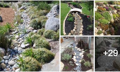 30+ Fantastic Landscaping Ideas to help with Water Run-off