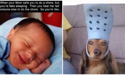 30+ Hilarious Photos You’re Going To Love