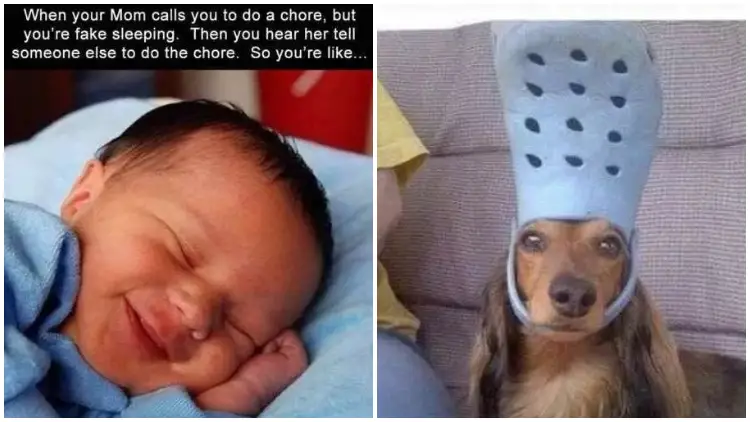 30+ Hilarious Photos You’re Going To Love