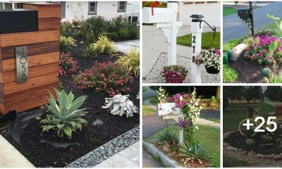 30 Small Landscaping Ideas to Boost Your Mailbox Curb Appeal