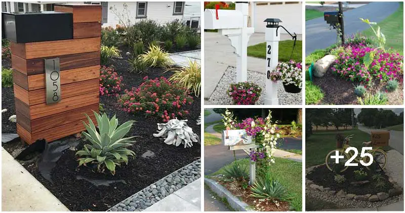 30 Small Landscaping Ideas to Boost Your Mailbox Curb Appeal