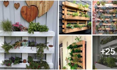 30 Stunning Mini Vertical Gardens Inspired by Old Pallets