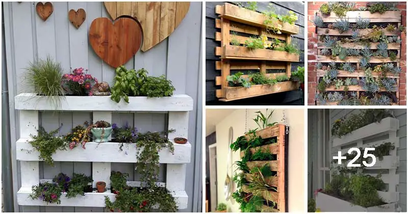 30 Stunning Mini Vertical Gardens Inspired by Old Pallets