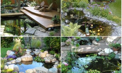 30 Stunning Small Pond Ideas for Your Backyard