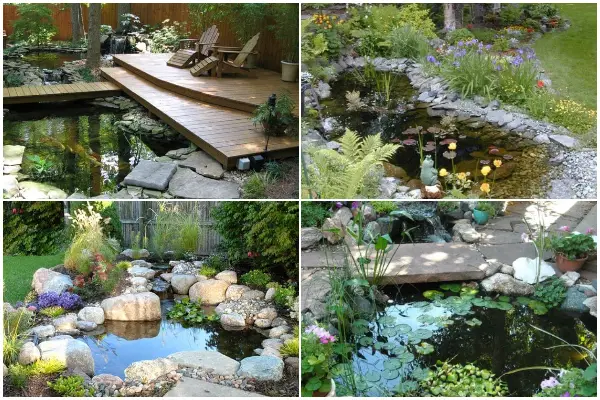 30 Stunning Small Pond Ideas for Your Backyard