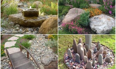 30 Stunning and Low-maintenance Rock Garden Ideas