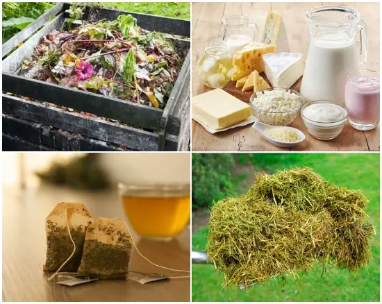 8 Amazing Things for a Nutrient-Enriched Compost