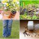 8 Unbelievable Sugar Benefits to Your Gardening Work