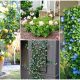 9 Best Plants That Bring Positive Energy to Your Home