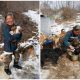 A Woman from South Korea Devotes Her Life to Rescuing and Caring for Over 200 Dogs