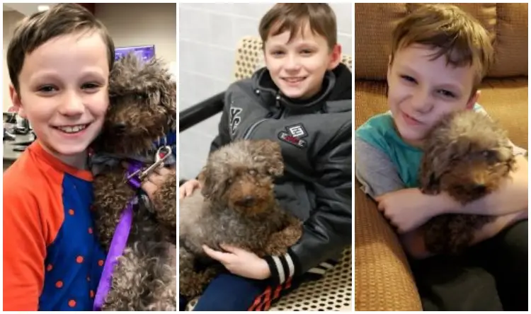 A Young Boy Adopts Oldest Dog From Shelter And Gives Him A Happy Family Till His Last Days